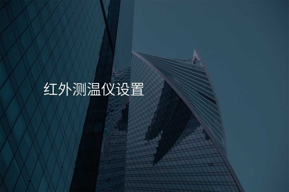 红外测温仪设置