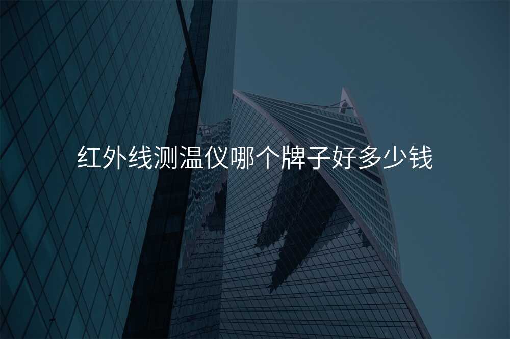 红外线测温仪哪个牌子好多少钱