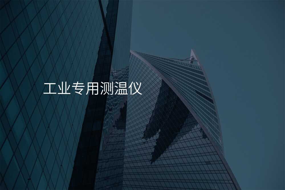 工业专用测温仪