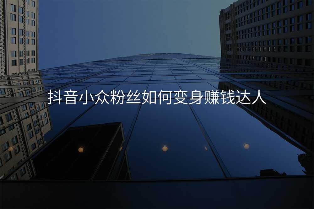 抖音小众粉丝如何变身赚钱达人