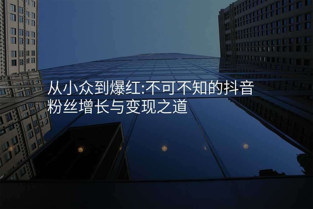 从小众到爆红:不可不知的抖音粉丝增长与变现之道