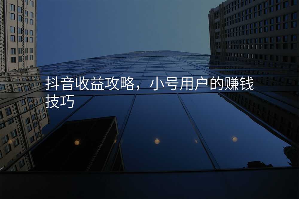 抖音收益攻略,小号用户的赚钱技巧