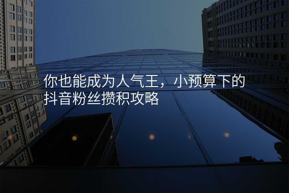 你也能成为人气王,小预算下的抖音粉丝攒积攻略