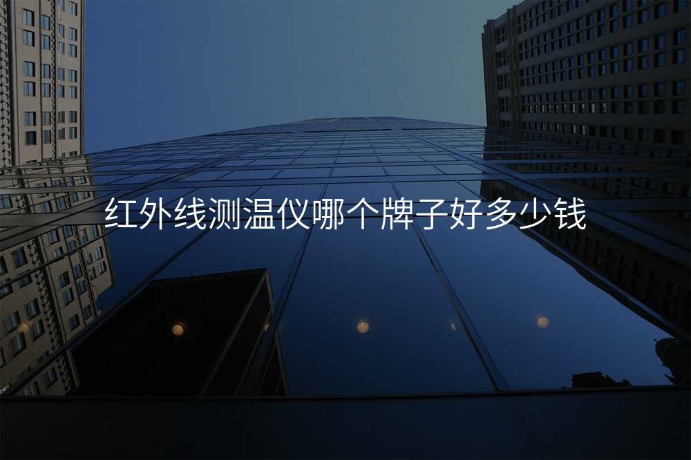 红外线测温仪哪个牌子好多少钱