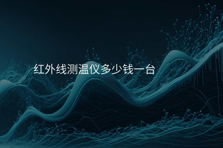 红外线测温仪多少钱一台