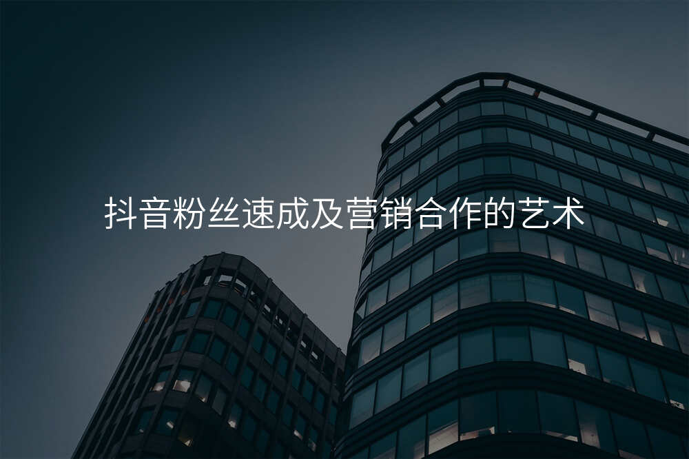 抖音粉丝速成及营销合作的艺术