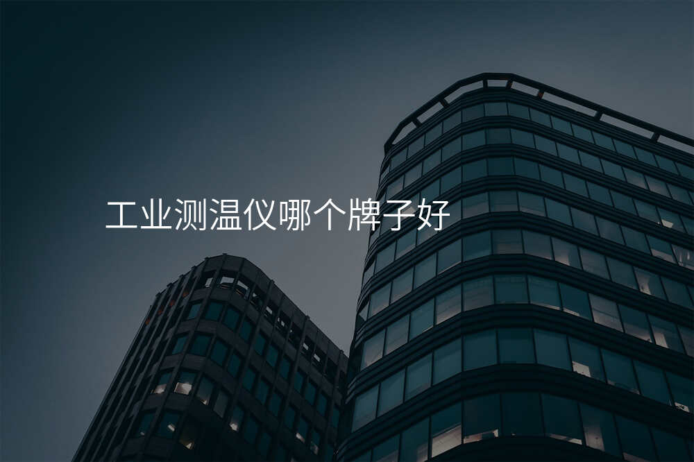 工业测温仪哪个牌子好