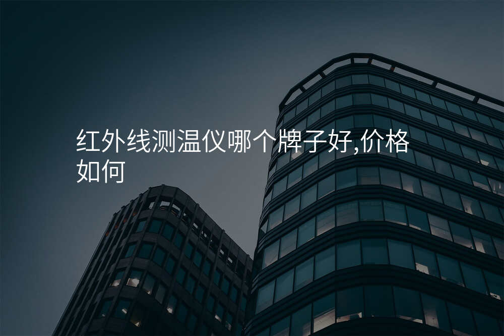 红外线测温仪哪个牌子好,价格如何