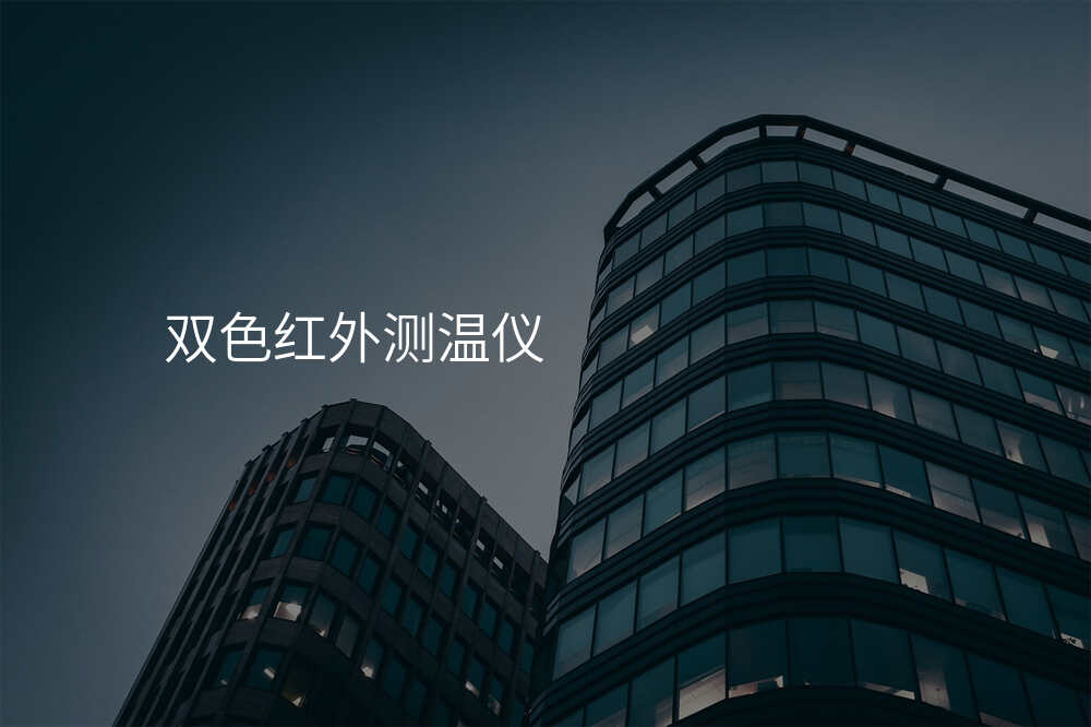 不花冤枉钱!选购双色测温仪技巧大揭秘
