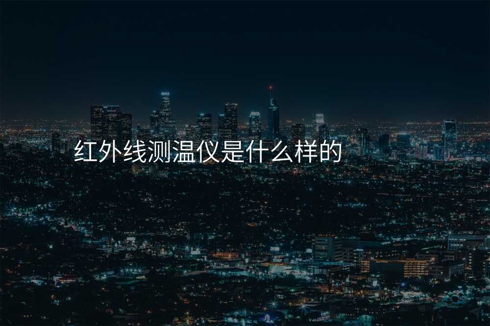 红外线测温仪是什么样的