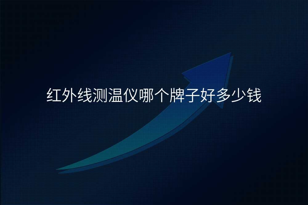 红外线测温仪哪个牌子好多少钱