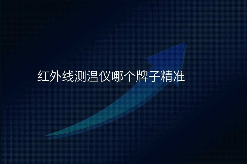 红外线测温仪哪个牌子精准