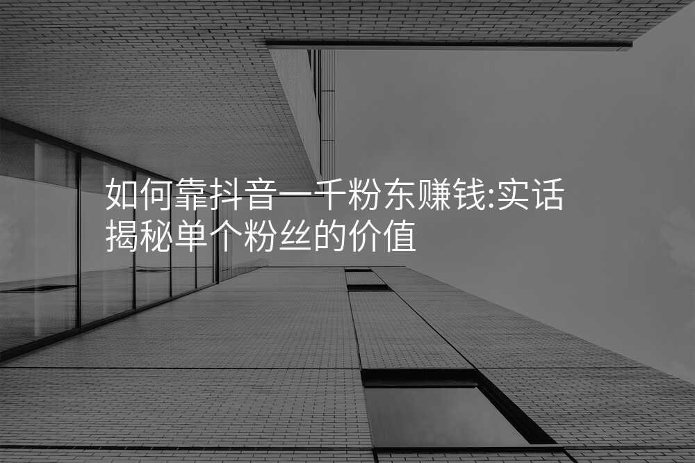 如何靠抖音一千粉东赚钱:实话揭秘单个粉丝的价值