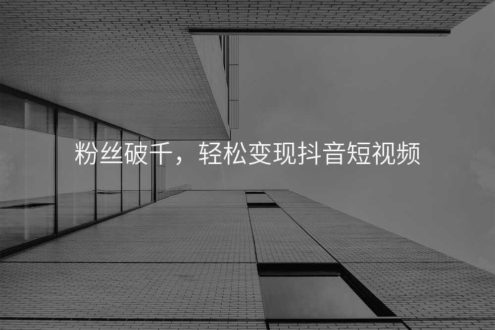 粉丝破千,轻松变现抖音短视频