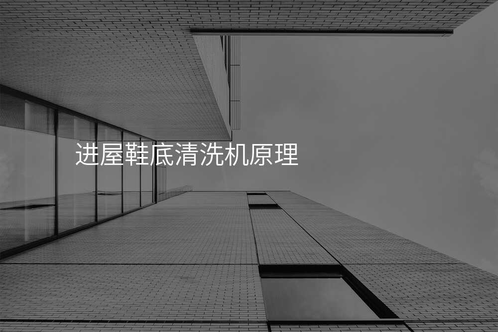 进屋鞋底清洗机原理