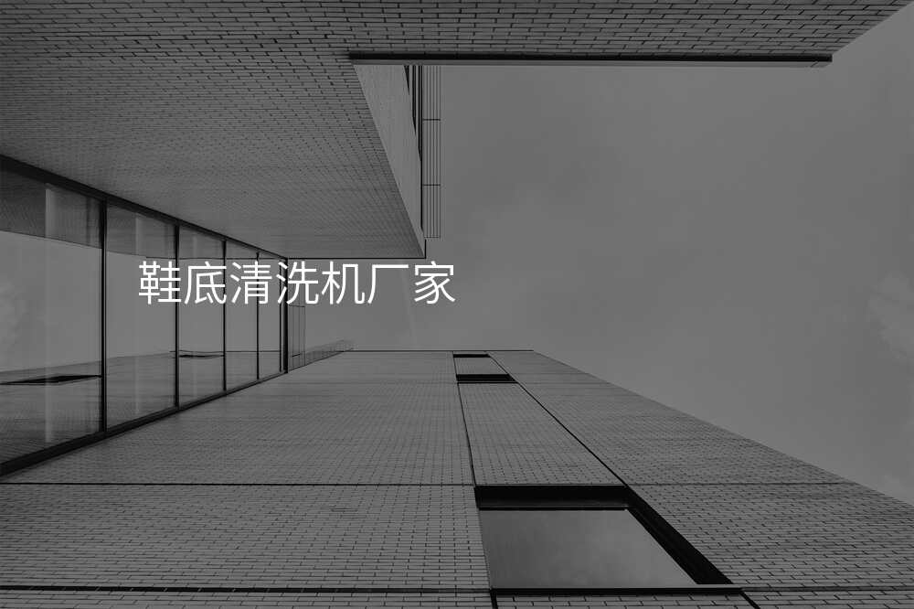 鞋底清洗机厂家