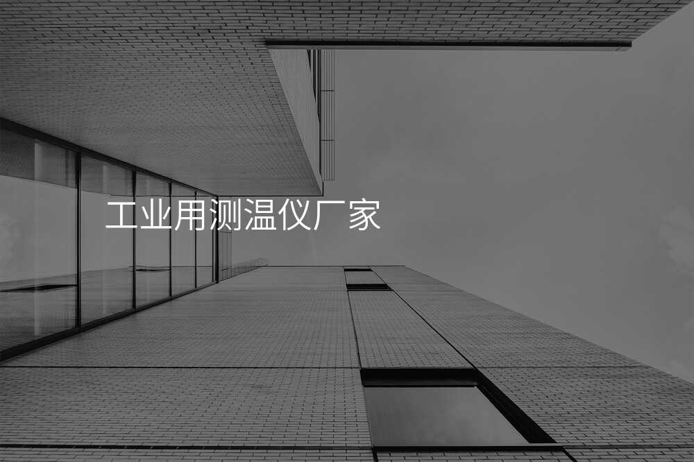 工业用测温仪厂家