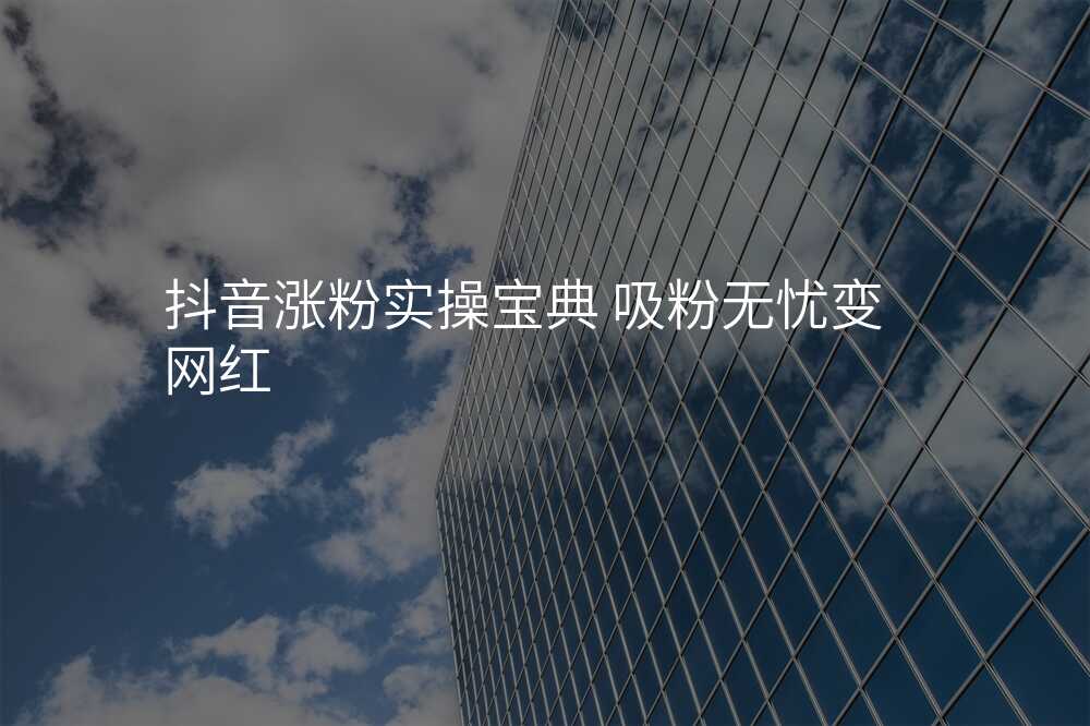 抖音涨粉实操宝典 吸粉无忧变网红