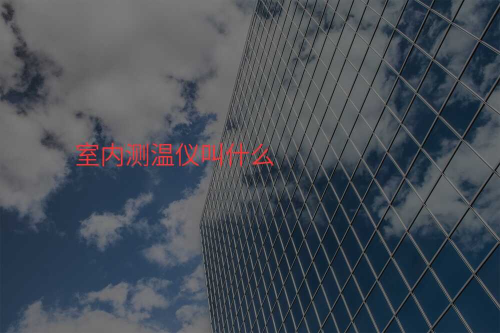 室内测温仪叫什么