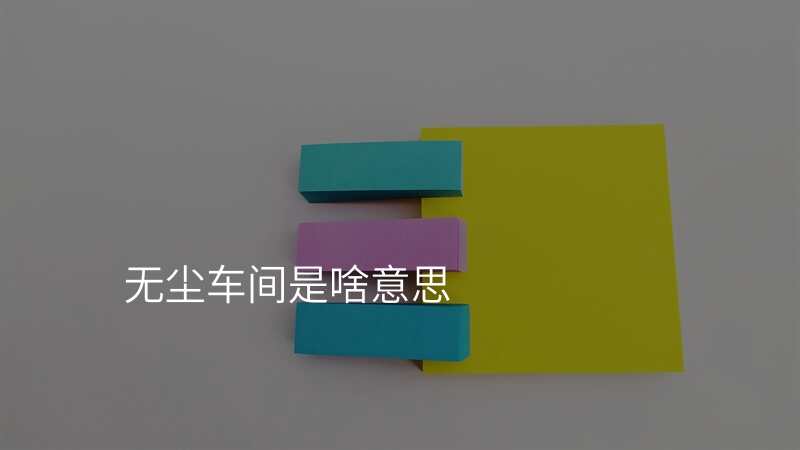 无尘车间是啥意思