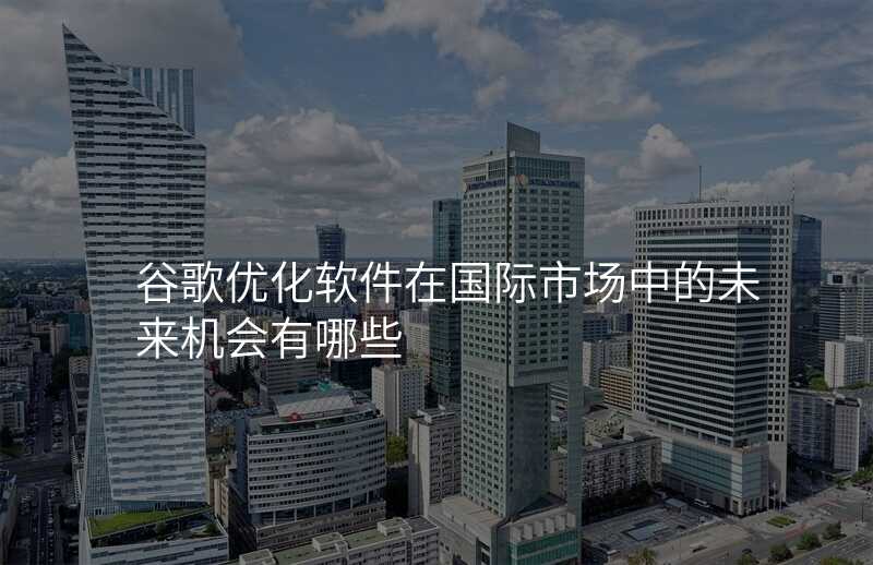 谷歌优化软件在国际市场中的未来机会有哪些