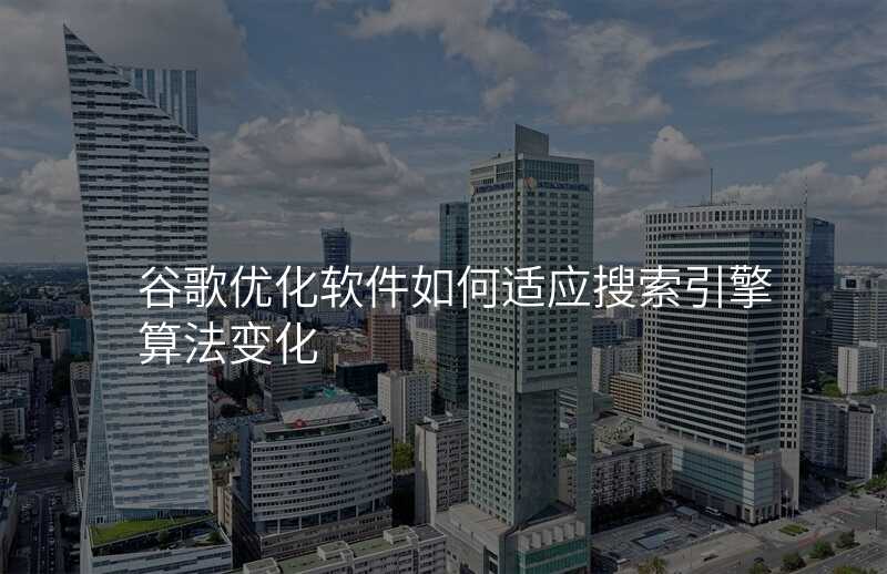 谷歌优化软件如何适应搜索引擎算法变化