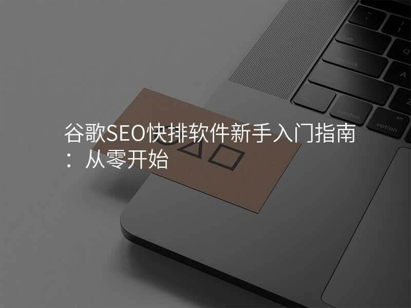 谷歌SEO快排软件新手入门指南:从零开始