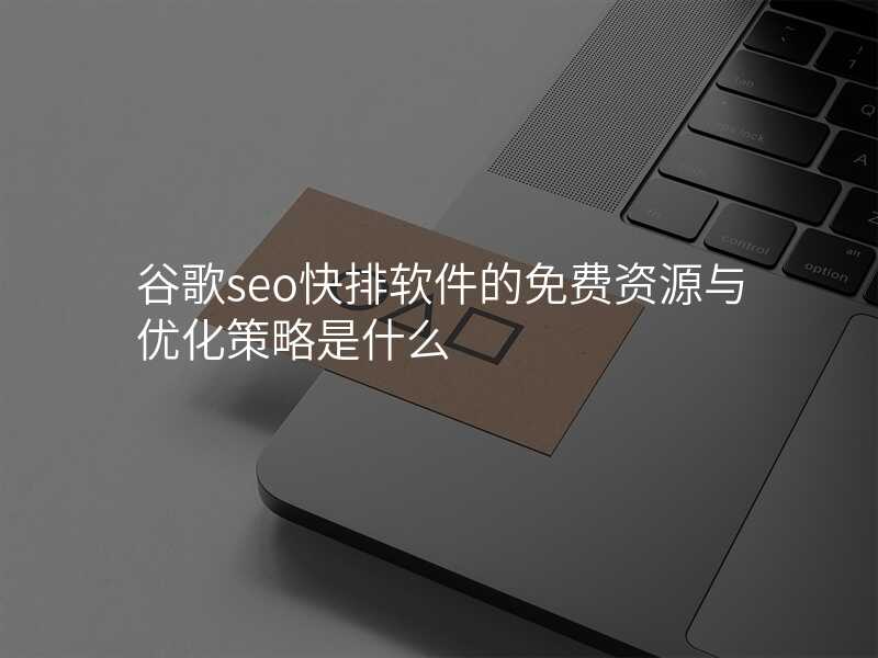 谷歌seo快排软件的免费资源与优化策略是什么