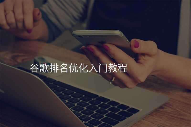 谷歌排名优化入门教程