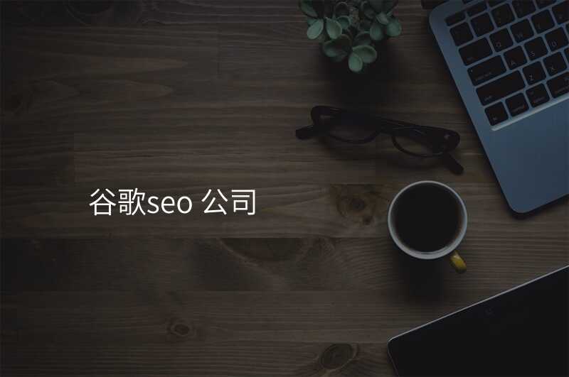 谷歌seo 公司