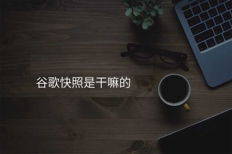 谷歌快照是干嘛的