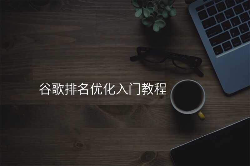 谷歌排名优化入门教程