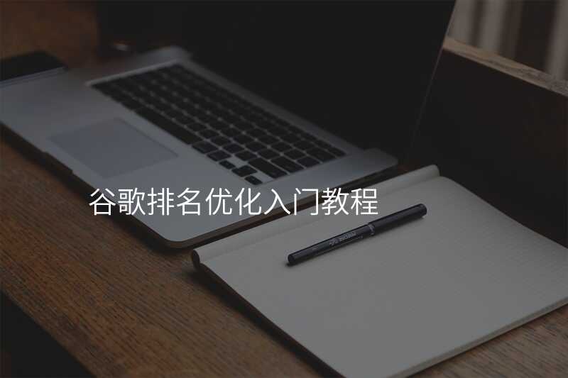 谷歌排名优化入门教程