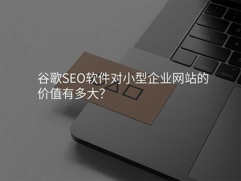 谷歌SEO软件对小型企业网站的价值有多大?