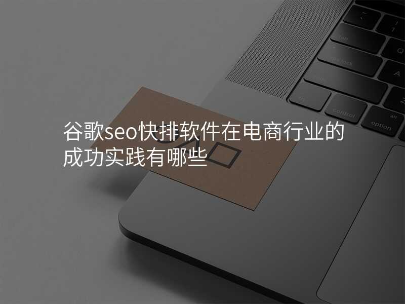 谷歌seo快排软件在电商行业的成功实践有哪些