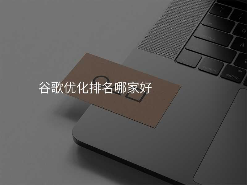 谷歌优化排名哪家好