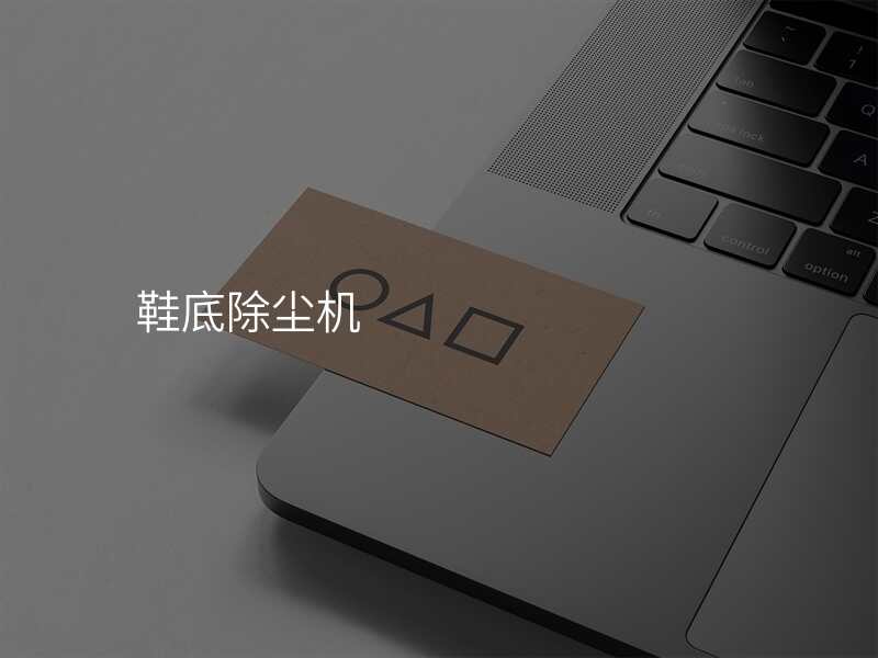鞋底除尘机