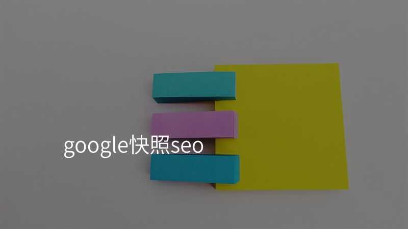 google快照seo