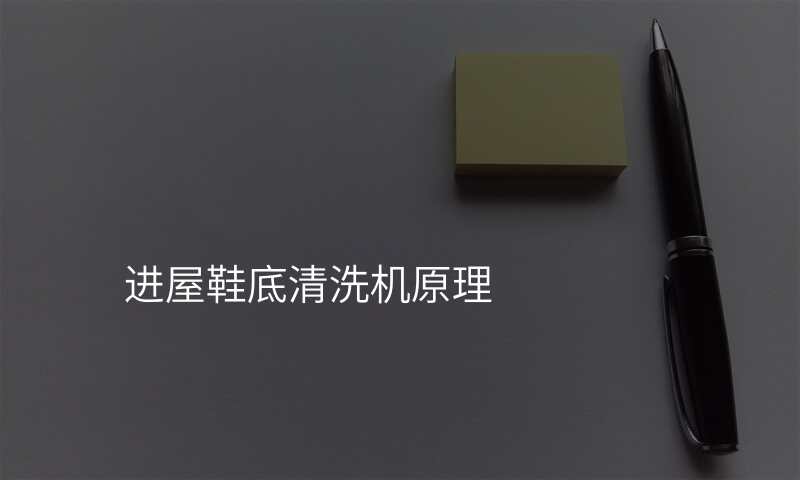 进屋鞋底清洗机原理