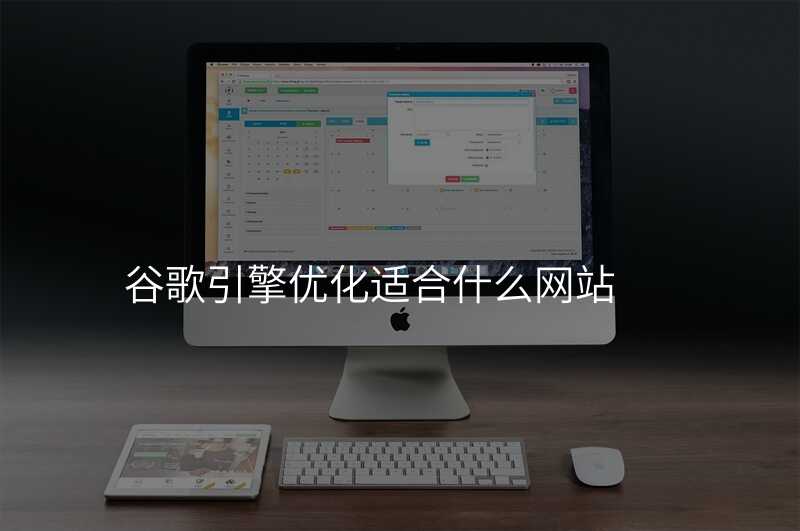 谷歌引擎优化适合什么网站