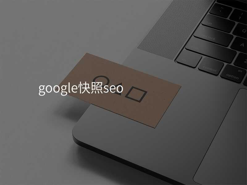 google快照seo