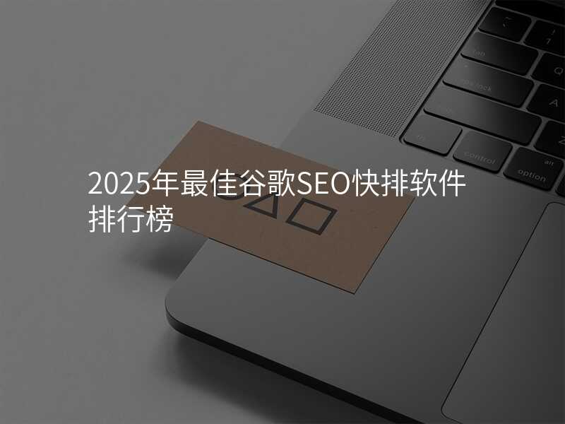 2025年最佳谷歌SEO快排软件排行榜