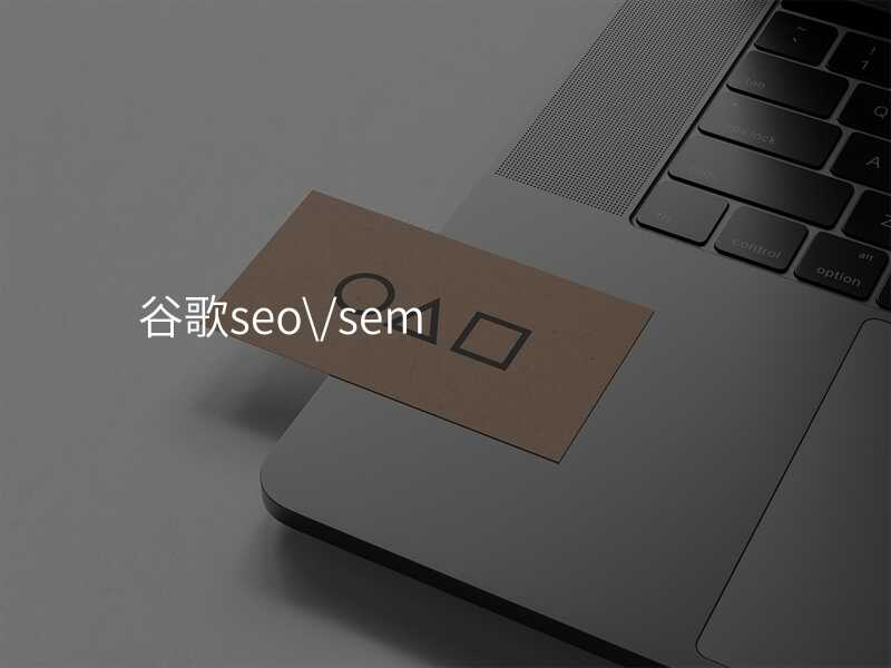 谷歌seo\/sem