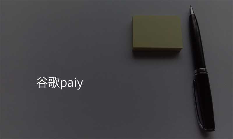 谷歌paiy