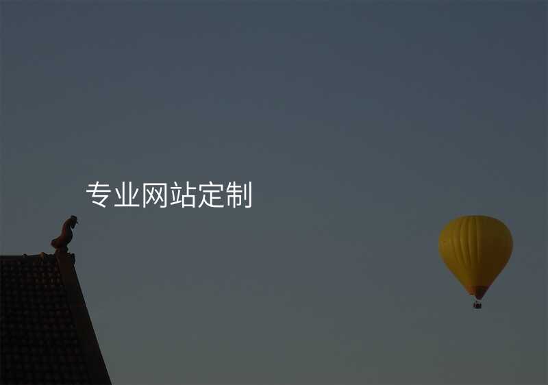 专业网站定制
