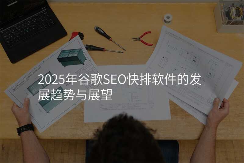 2025年谷歌SEO快排软件的发展趋势与展望