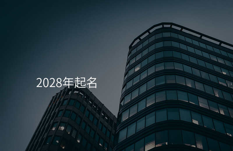 2028年起名
