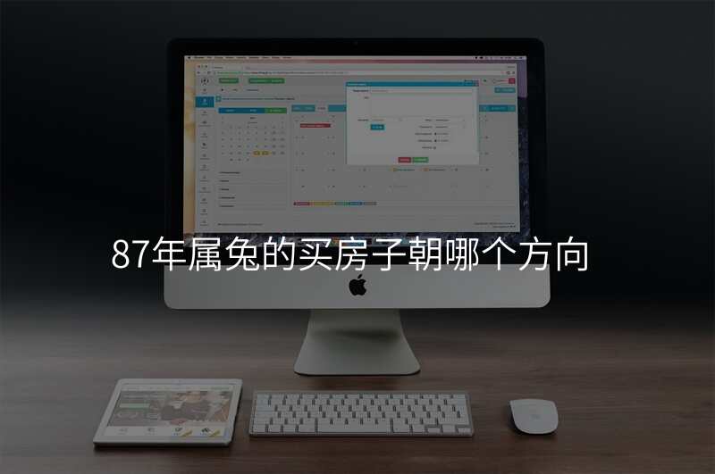 87年属兔的买房子朝哪个方向