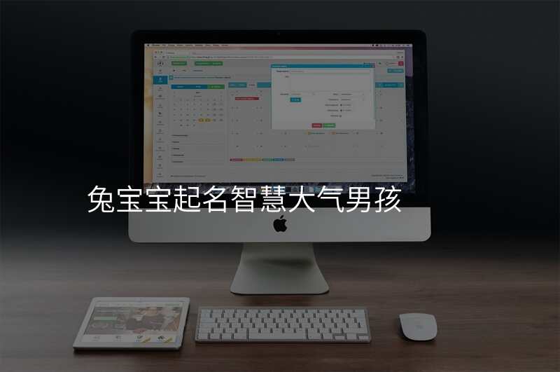 兔宝宝起名智慧大气男孩