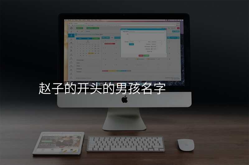 赵子的开头的男孩名字